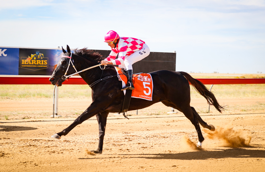 Scott Sweedman aboard Ka Bling for trainer Ben Waldron. Pictures: Roxanne Weston.