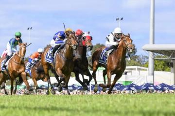Maroochydore Surf Club Race Night