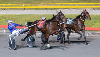 Entries open for 2023 Garrard’s Redcliffe Yearling Sale