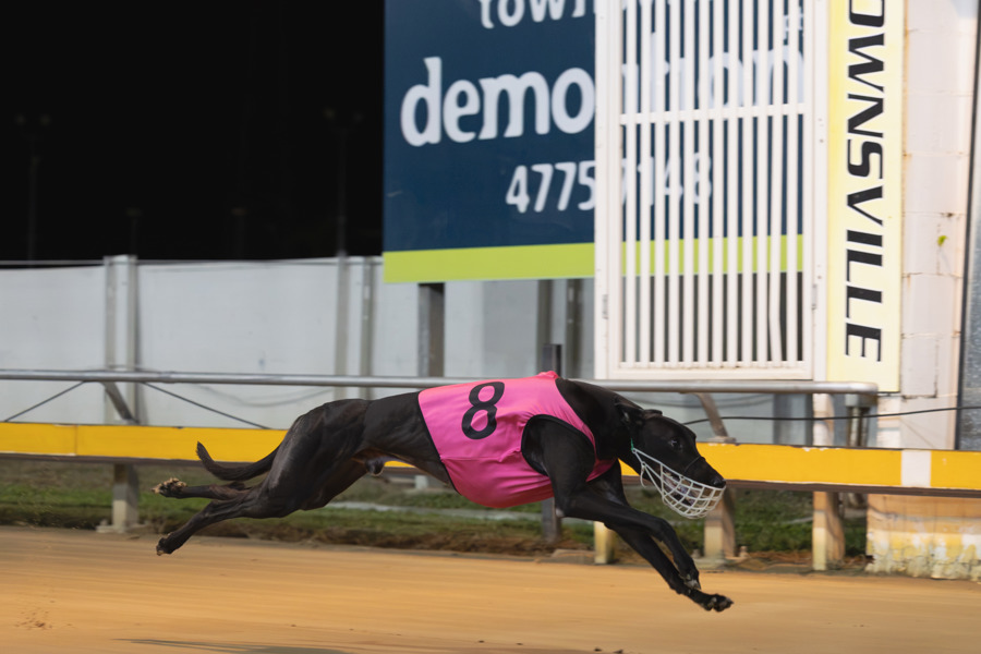 Janiak takes interest in greyhound namesake Takeover Target
