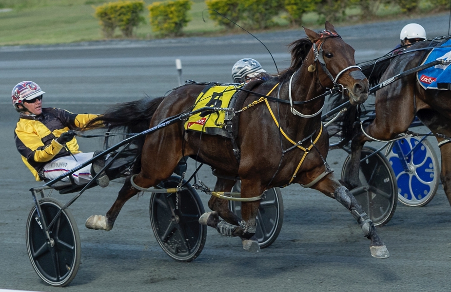 Nathan Dawson after driving Warrawee Flyer to victory.
