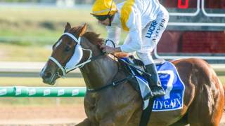 Sunnycoast chases city breakthrough