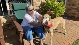 Greyhound therapy dogs call it a day after seven years