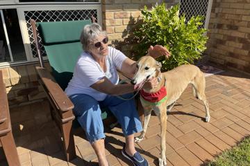 Greyhound therapy dogs call it a day after seven years
