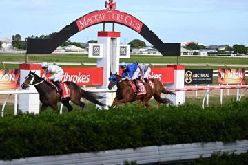 Mackay Cup Day