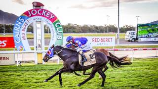 Wieland looks for winter guide from stable pair