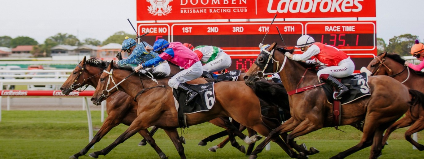 Gateway Raceway Fireworks Tattersall's Recognition Stakes :: Racing Queensland
