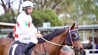Late blooming Miller finds his racing calling