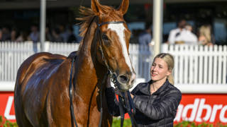 Gollan targets Archer glory with experience and youth