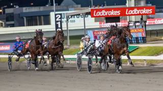 Dashman's Dashboard - April 18 @ Albion Park