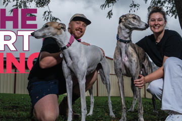 Retired greyhounds Buster and Fern proving opposites attract