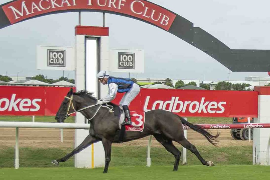 Ryan Wiggins aboard Replace The Ace for trainer Tom Smith. Picture Jim Law.