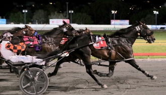 Queensland to host two ID22 Golden Ticket events