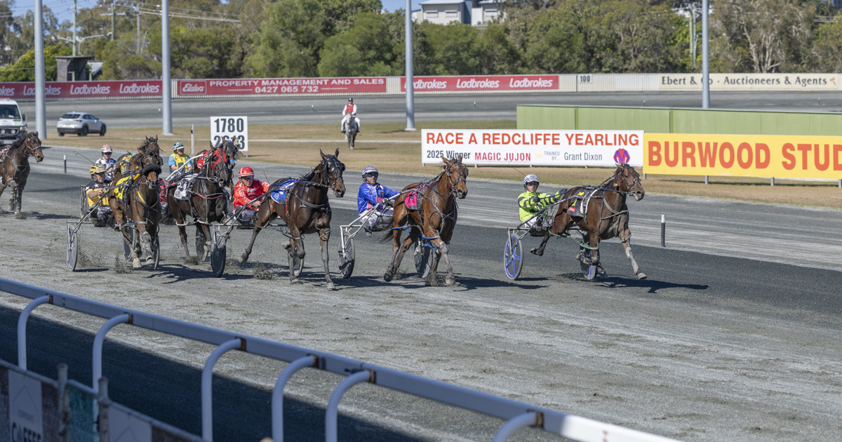 Animal R3 Queensland harness racing barrier trials update :: Racing Queensland