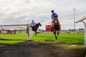Christmas Party Raceday