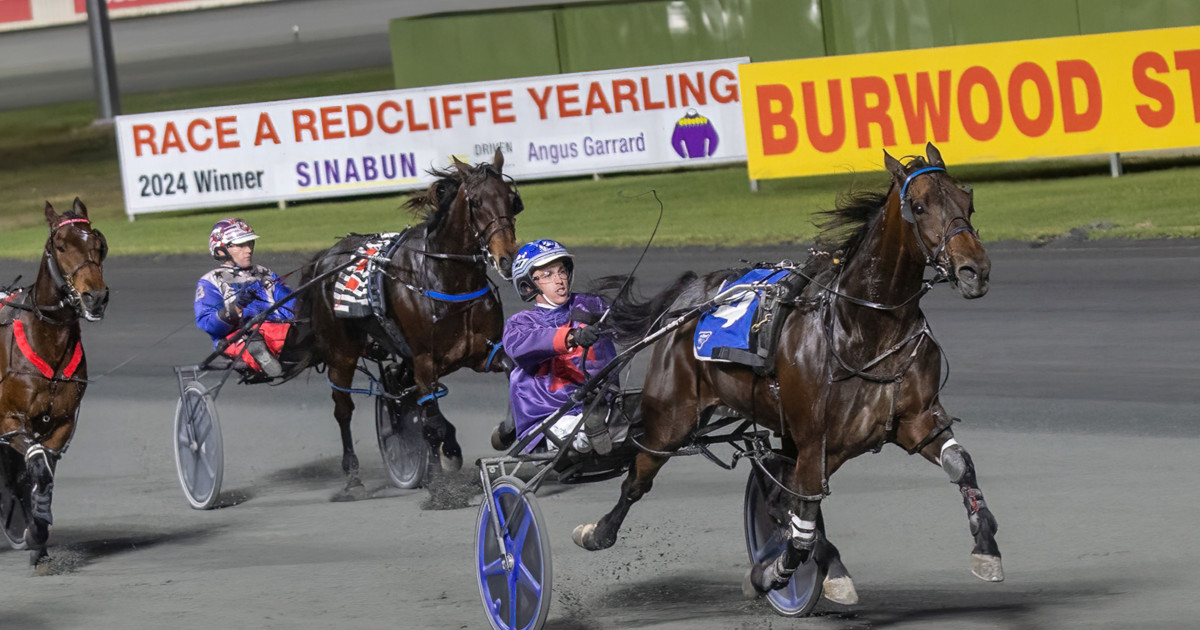 Will Rothwell Chance of Trot Rods glory for Graham White :: Racing Queensland