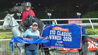 Parisian Hustler stakes claim for Protostar slot