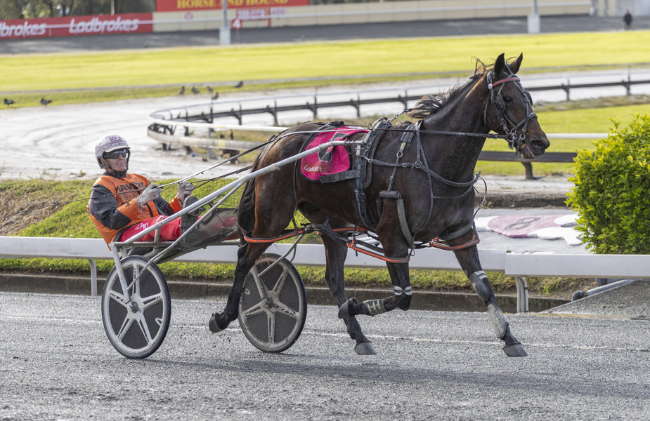 Gary Bond after driving Whykikamoocow to victory for trainer Jude McLachlan.