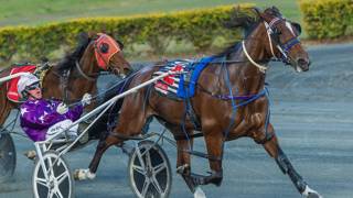 Oli's Oil - April 29 @ Redcliffe