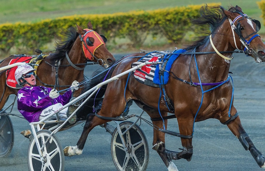 Jenny Anderson
D:
Gary Bond