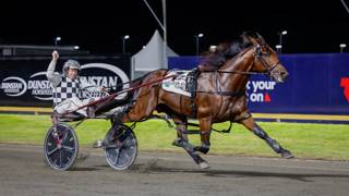 Stars step out Friday night at The Creek