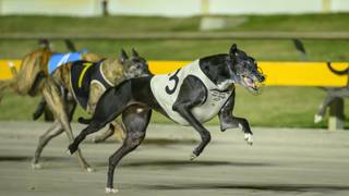 Mile A Minute still loves every second of racing