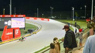 Born To Race with new lease on life