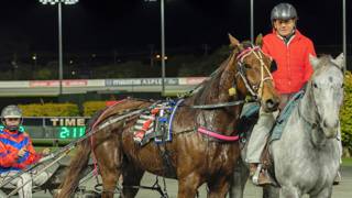 Chalmers family building a harness racing legacy