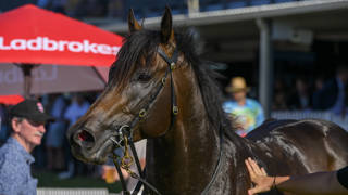 Grafterburners all set for Arrowfield