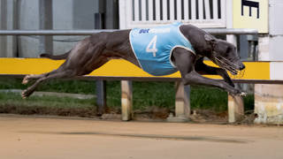 Holiday break is over for Townsville chaser