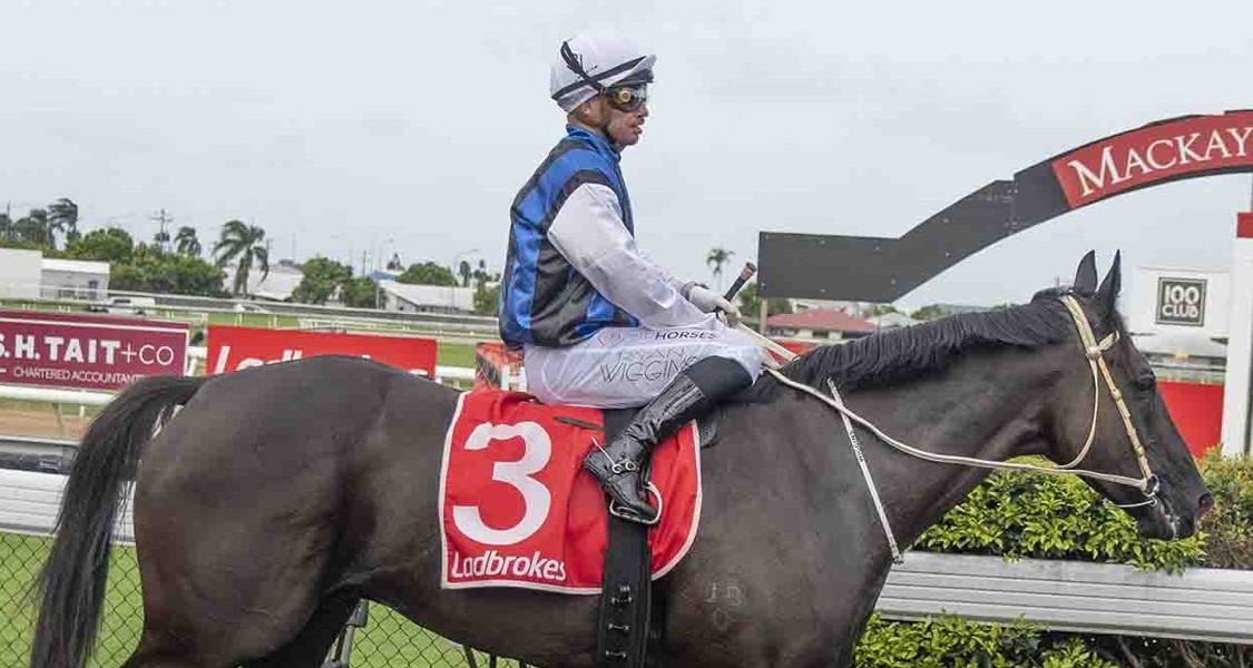 Ryan Wiggins aboard Replace The Ace for trainer Tom Smith. Picture Jim Law.
