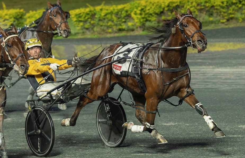 Baby Abbey adds to Elkins’ winning run
