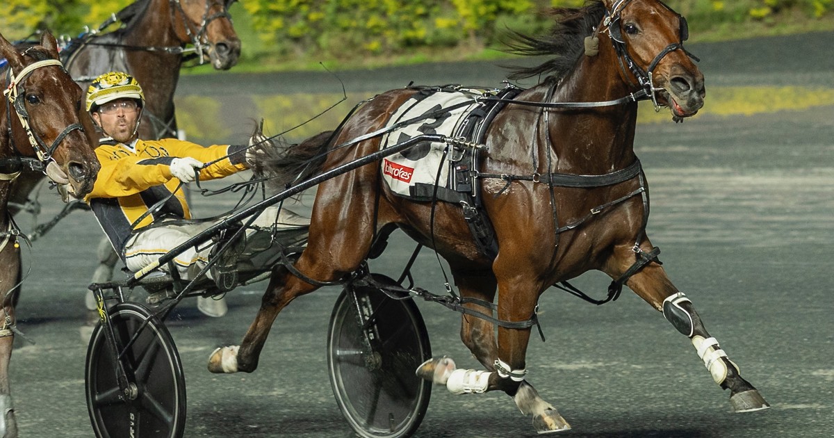 Watercolor Racing Track Oli's Oil - October 21 @ Redcliffe :: Racing Queensland