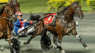 Old timers shining at Redcliffe