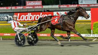 Victorian trainer eyes repeat ID glory at Albion Park
