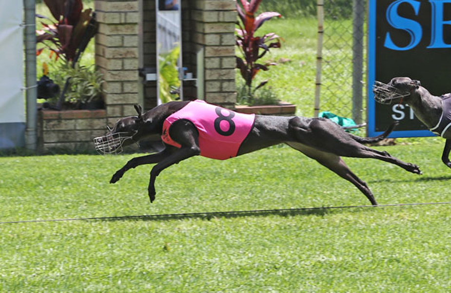 Quicker Sophie