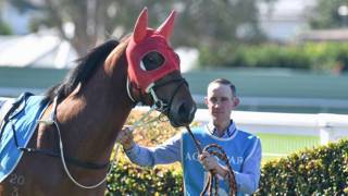 Trev delivers on trial promise for Zahmel