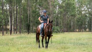 Queensland’s unsung heroes recognised as ATIEA shortlist revealed