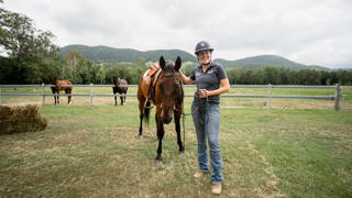 Alex Kelly far from feeling blue over retired standardbred