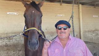 Brett Moody to raise the bat in style at Nanango