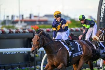 Stradbroke Day