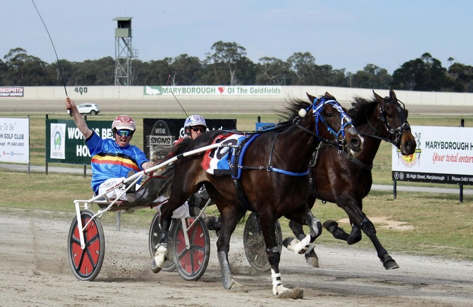 Michael Bellman drives Mecarno to victory.