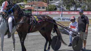 Wyborn enjoys high after recent lows
