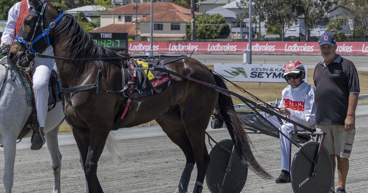 High Five Programa Wyborn enjoys high after recent lows :: Racing Queensland