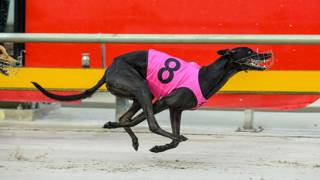 Zac Lloyd prowling around Queensland again