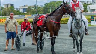 Dashman's harness examination - April 20
