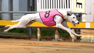 Belford reunion sparks Federal Cash