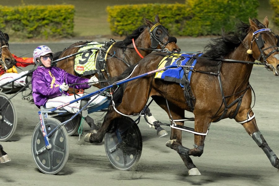 Lachie Hart and Angus Garrard after Hes All Torque's win on Wednesday night.