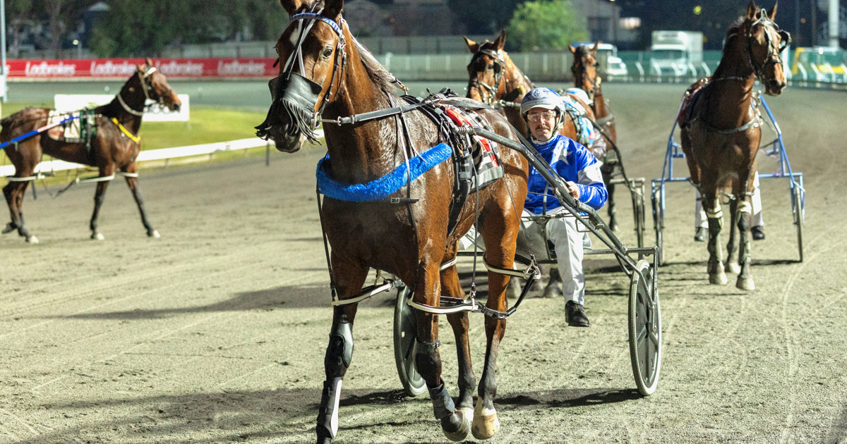 Animal R3 Sanderson excited to represent Queensland :: Racing Queensland