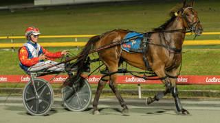 The Dashboard - September 12 @ Albion Park